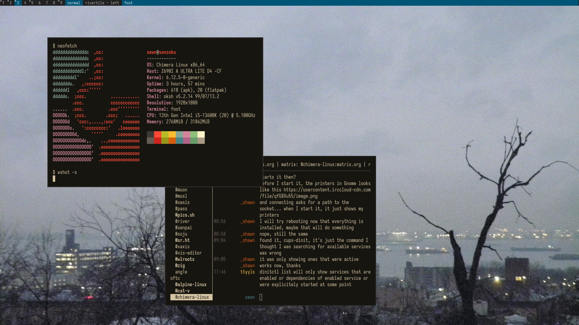 showcase of a chimera desktop