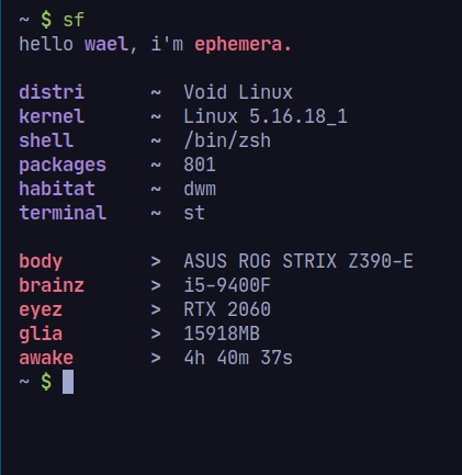 custom fetch of void