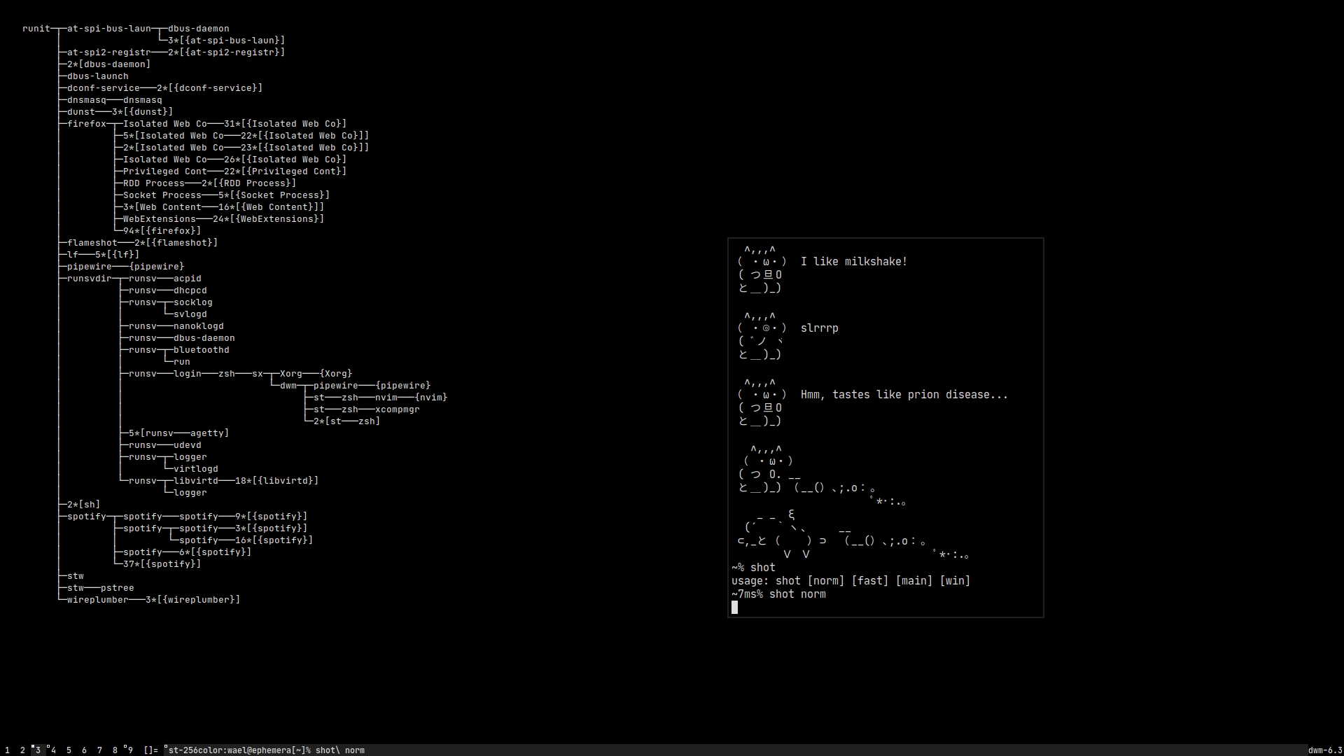 screenshot of void with ascii